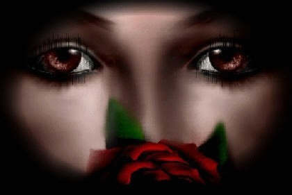 Le Regard