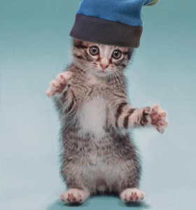 LE CHAT